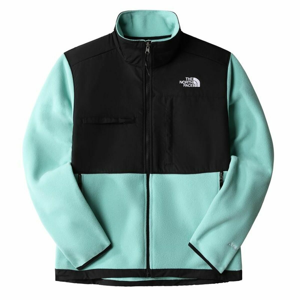 The North Face Delani Men's Jacket - Green - product view 2