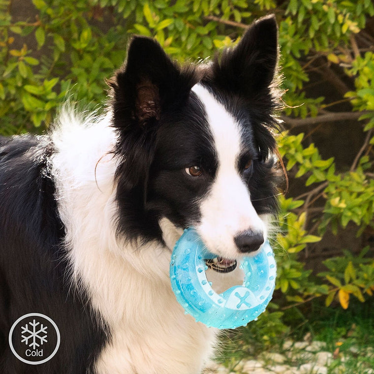 2-in-1 Kühlbar Kauspielzeug für Haustiere Glubiz InnovaGoods - BYAG.Tierbedarf > HundeInnovaGoodsBYAG.V010369784355278248222-in-1 Kühlbar Kauspielzeug für Haustiere Glubiz InnovaGoods