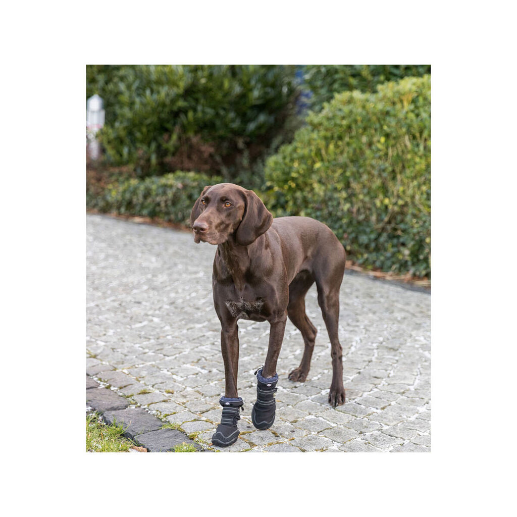 Trixie Hundeschuhe 19410 Schwarz – Produktansicht 7
