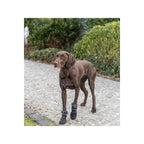 Trixie Hundeschuhe 19410 Schwarz – Produktansicht 7