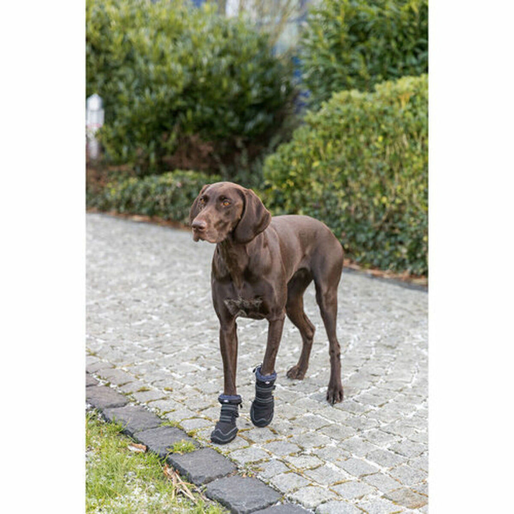 Trixie Hundeschuhe 19410 Schwarz – Produktansicht 8