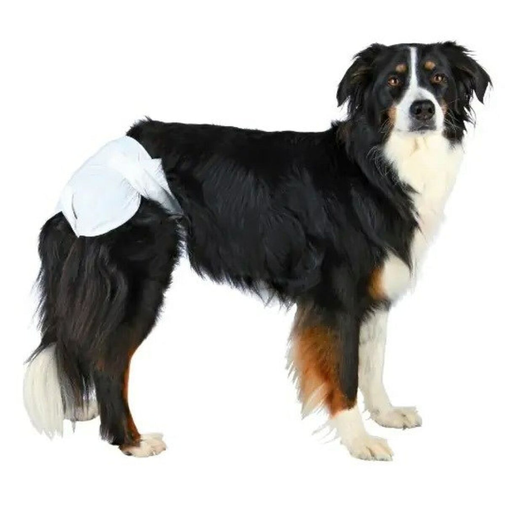 Trixie Nappies 23634 Hund M/L – Produktansicht 2