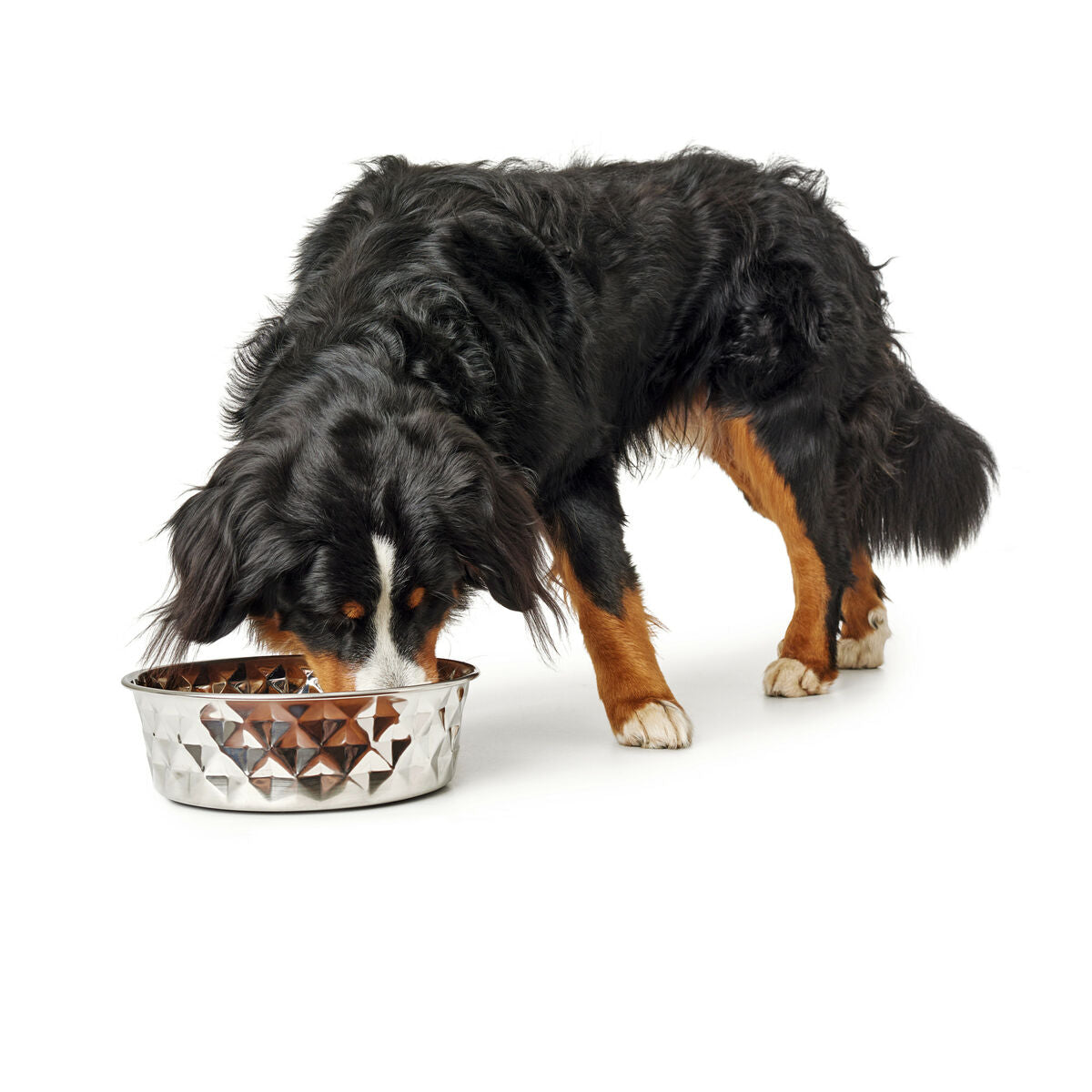 Hunter Hund Feeder Silicone Edelstahl 1,05 L – Ansicht 3