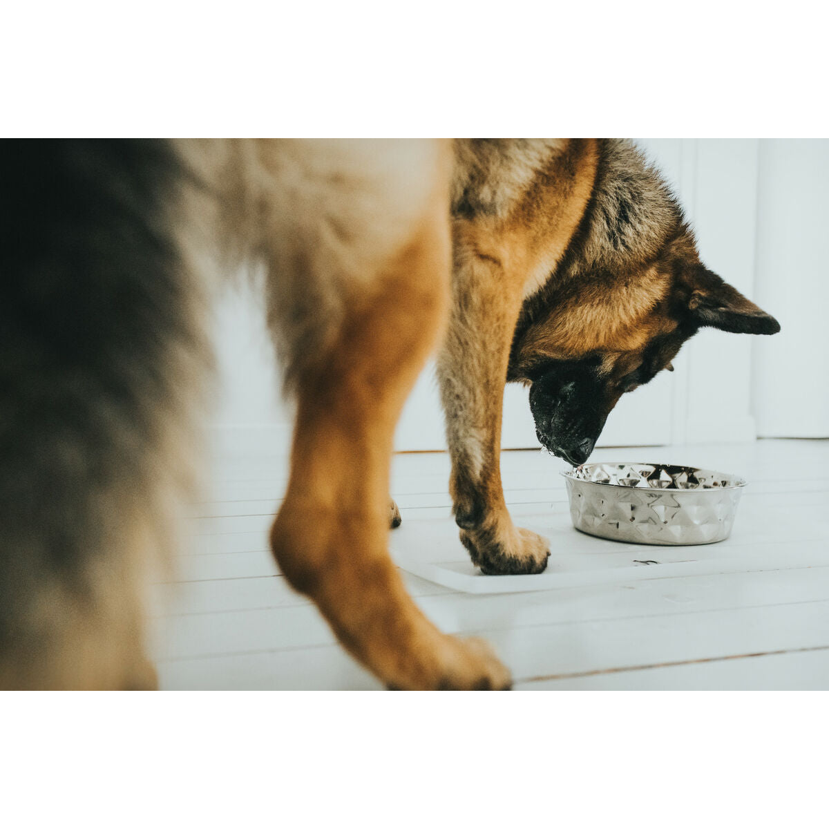 Hunter Hund Feeder Silicone Edelstahl 1,05 L – Ansicht 5