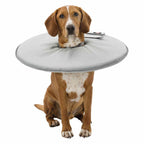 Trixie Halskrause für Hunde 19423 Grau Foam – Produktansicht 10