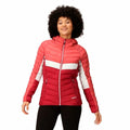Regatta Damen-Sportjacke Harrock II Rumba Rosa – Produktansicht 1