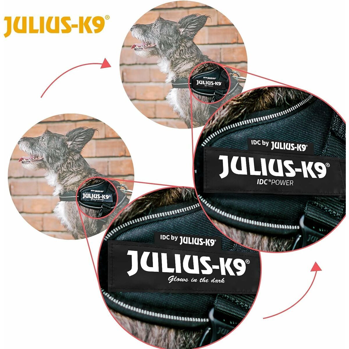 Julius K9 Hundegeschirr IDC Schwarz – Produktansicht 8
