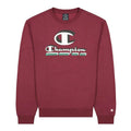 Men’s Sweatshirt without Hood Champion Crewneck Red