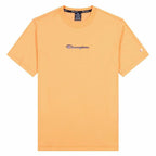 Short Sleeve T-Shirt Champion Crewneck M Orange