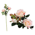 Stem aus 5 Roses – Red