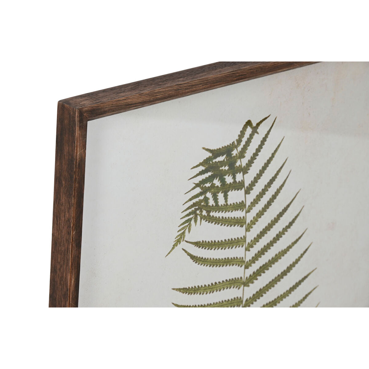 Home ESPRIT Bild Crystal Fir – Weiß – Ansicht 2