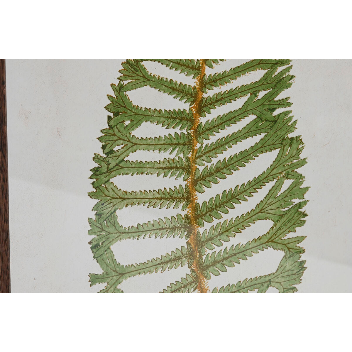 Home ESPRIT Bild Crystal Fir – Weiß – Ansicht 3