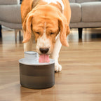 InnovaGoods Wiederaufladbar Cat Wasser Fountain mit Sensor Refopet – Produktansicht 6