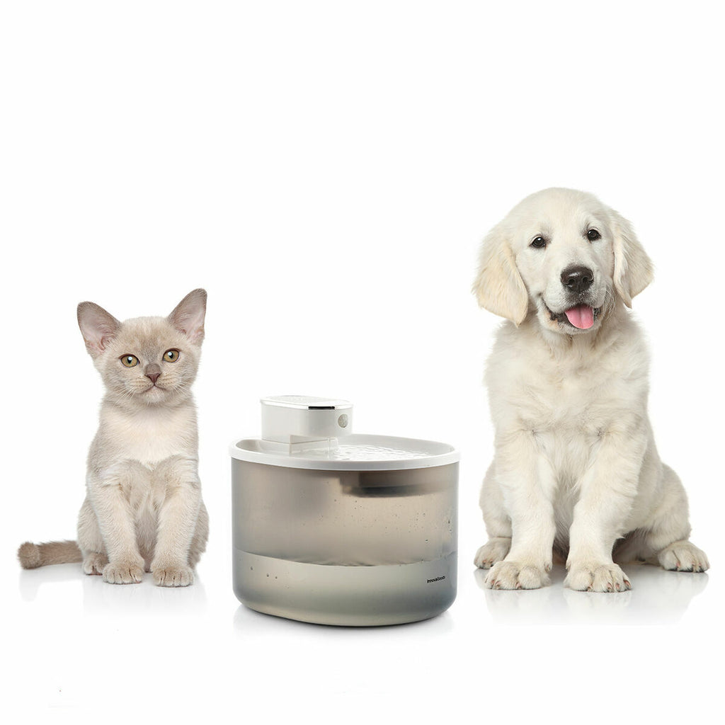 InnovaGoods Wiederaufladbar Cat Wasser Fountain mit Sensor Refopet – Produktansicht 10