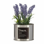 Ibergarden Dekorativ Plant Metall Kunststoff Can Lavendar – Produktansicht 2