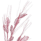 Krist+ Branch Rosa – Produktansicht 3