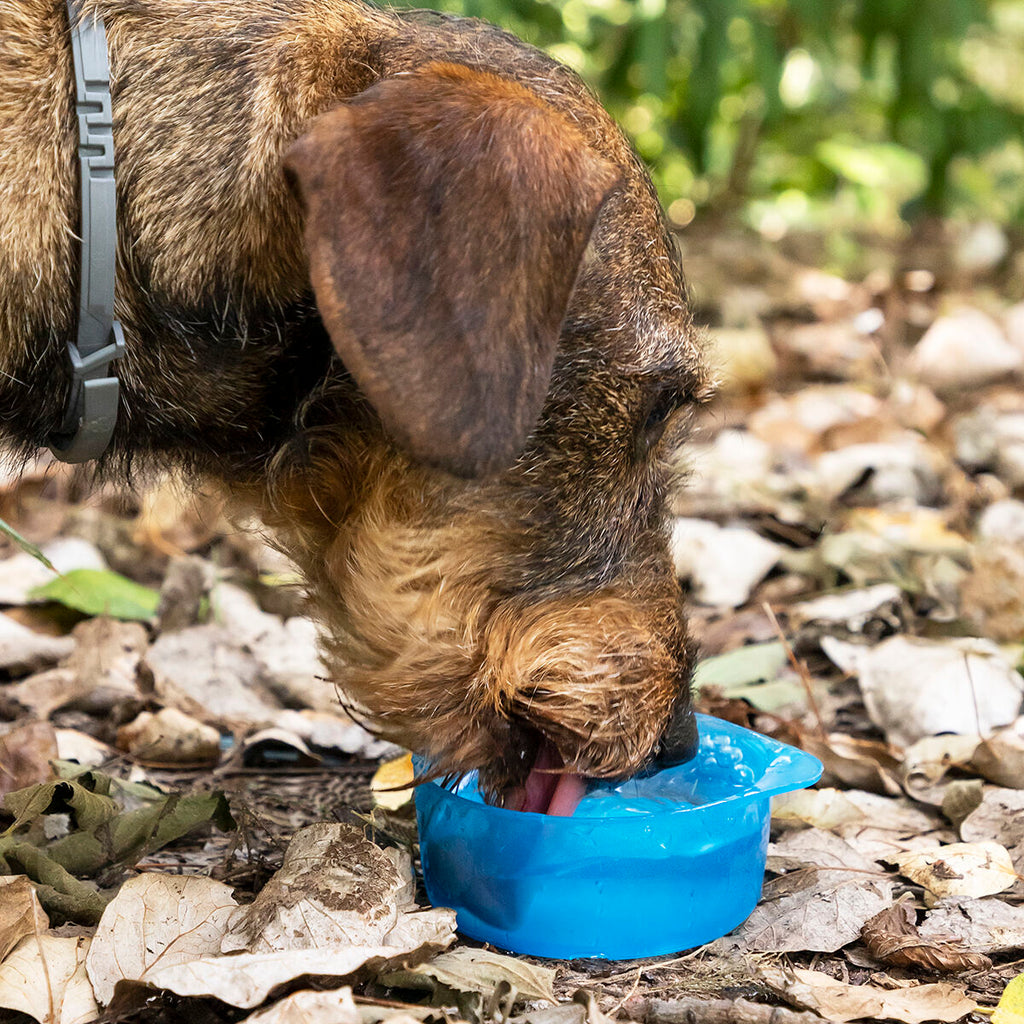 2-in-1 Flasche mit Wasser & food containers für Haustiere Pettap InnovaGoods – Produktansicht 4