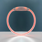 InnovaGoods LED-Halsband für Haustiere Petlux – Produktansicht 6