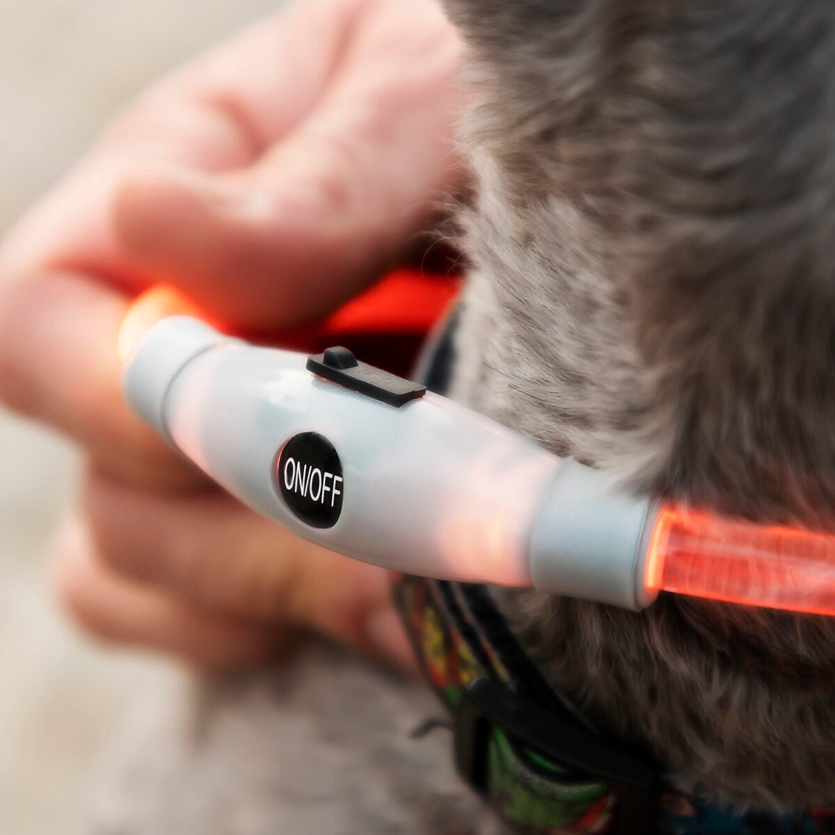 InnovaGoods LED-Halsband für Haustiere Petlux – Produktansicht 9